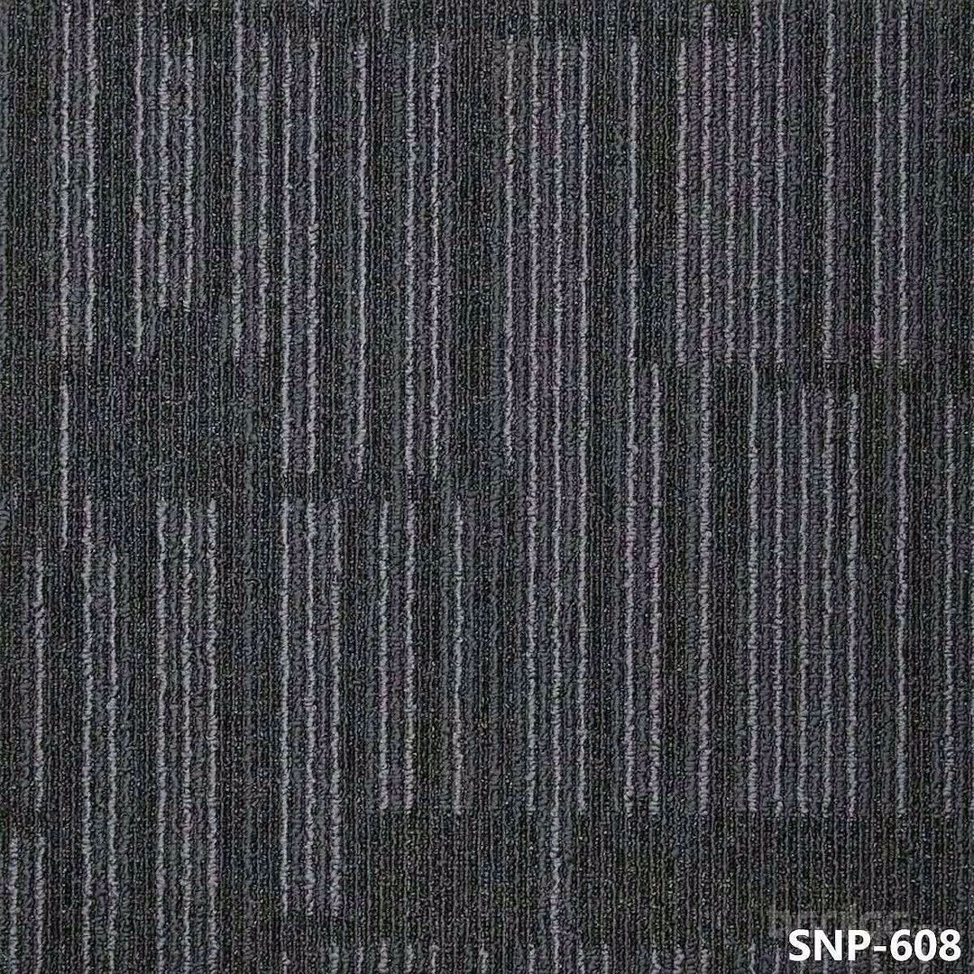 SNP608.jpg